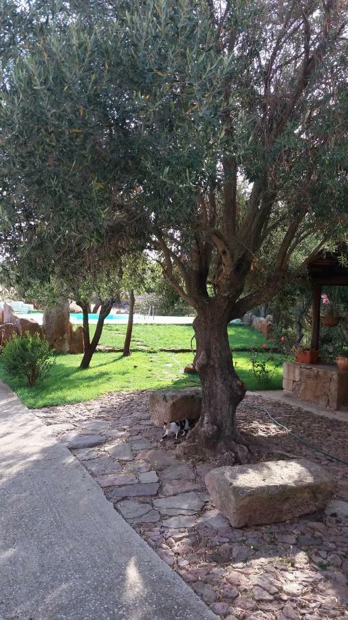 AGRITURISMO SA è PADEDDA Mores Extérieur photo